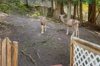 View 32