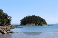 View 60