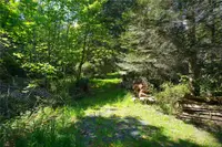 View 59
