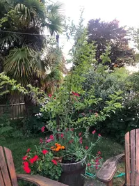 View 35