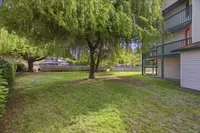 View 38