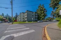 View 16