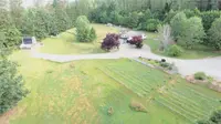 View 68
