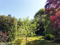 View 44