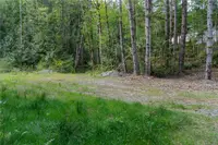 View 12