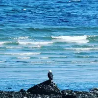 View 68