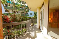 View 36