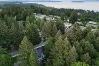 View 83