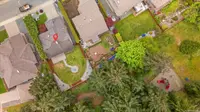 View 50