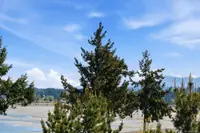 View 69