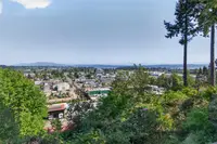 View 45