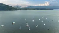 View 49