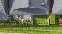 View 53