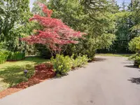 View 49