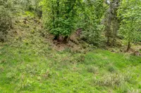 View 37