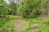 View 35