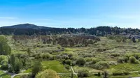 View 37