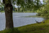 View 47
