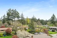 View 19