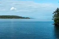 View 46