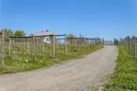 View 66