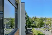 View 17