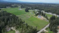 View 79