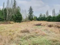 View 32