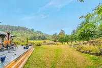 View 15