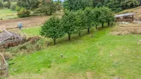 View 40