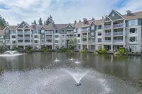 View 24