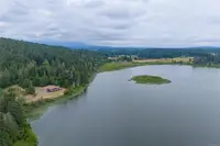 View 85