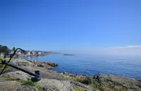 View 25