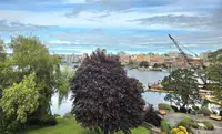 View 31
