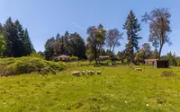 View 51