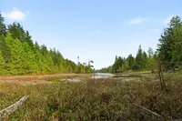 View 39