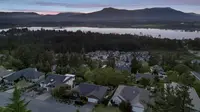View 71