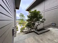 View 46