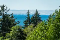 View 56