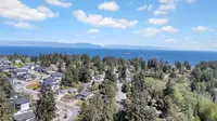 View 41