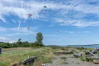 View 60