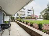 View 19