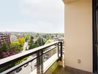 View 19