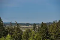 View 47