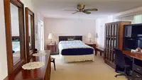 View 16