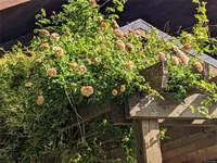 View 79