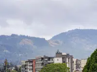 View 22