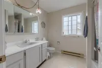 View 41