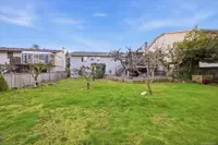 View 50