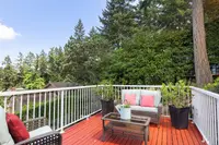 View 74